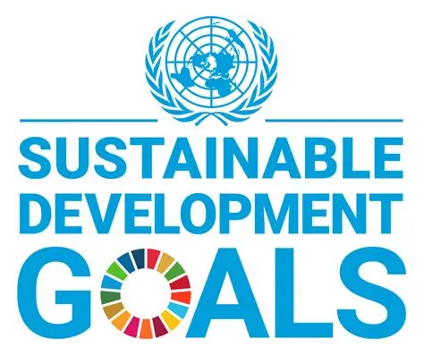 SDG Logo
